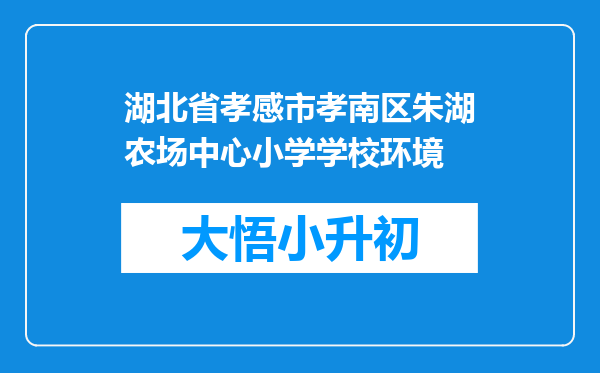 湖北省孝感市孝南区朱湖农场中心小学学校环境