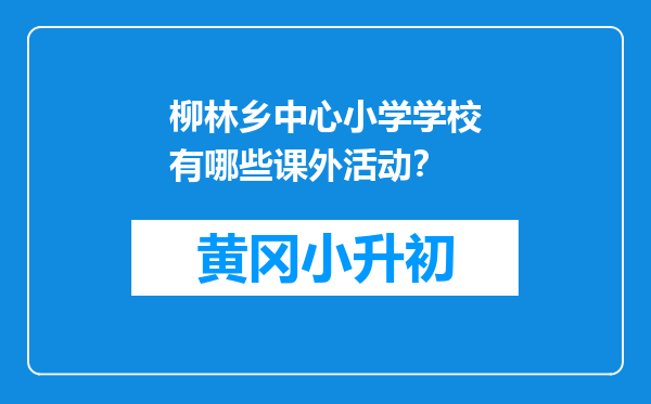 柳林乡中心小学学校有哪些课外活动？
