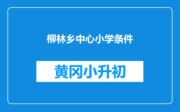 柳林乡中心小学条件