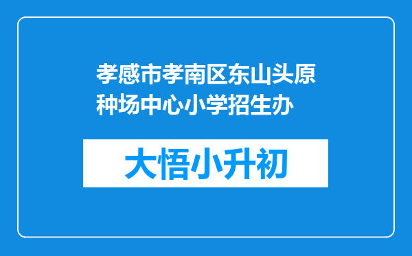 孝感市孝南区东山头原种场中心小学招生办
