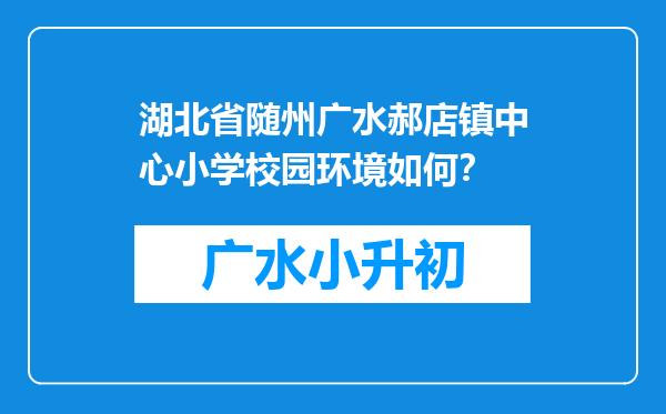 湖北省随州广水郝店镇中心小学校园环境如何？