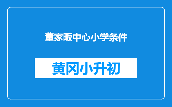 董家畈中心小学条件