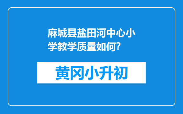 麻城县盐田河中心小学教学质量如何？