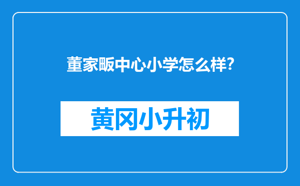 董家畈中心小学怎么样？