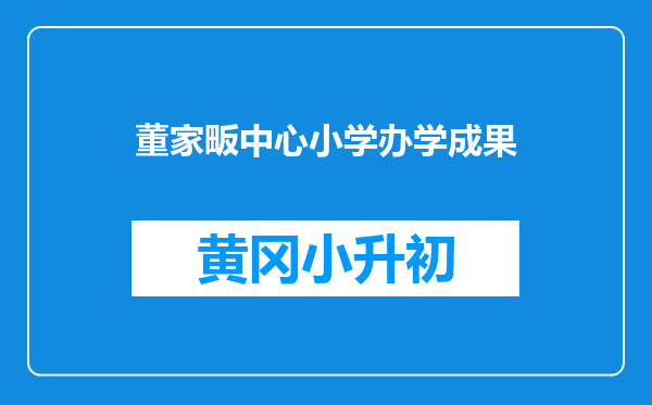 董家畈中心小学办学成果
