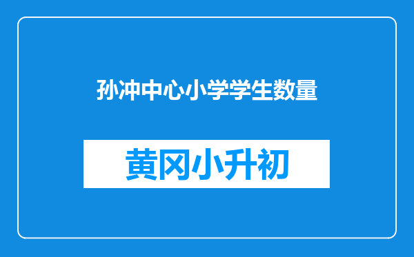 孙冲中心小学学生数量