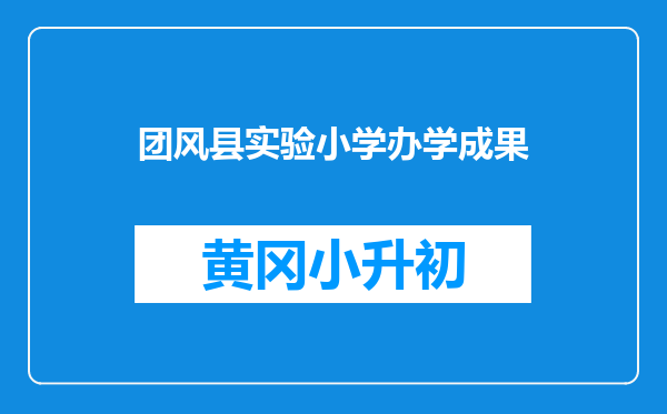 团风县实验小学办学成果