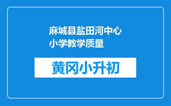 麻城县盐田河中心小学教学质量