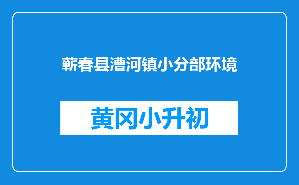蕲春县漕河镇小分部环境