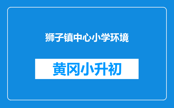 狮子镇中心小学环境