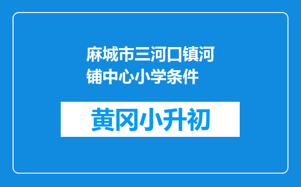麻城市三河口镇河铺中心小学条件