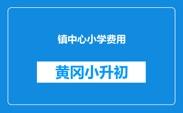 镇中心小学费用