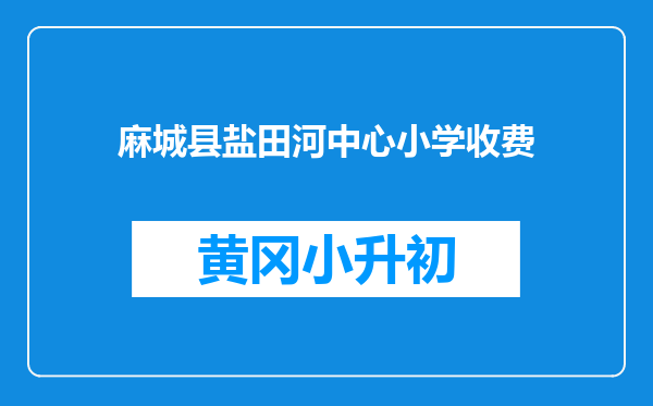 麻城县盐田河中心小学收费