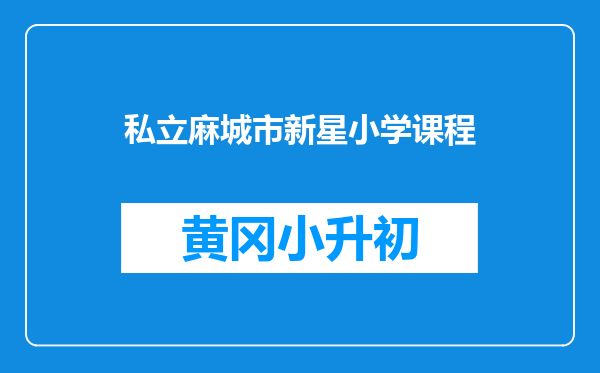 私立麻城市新星小学课程