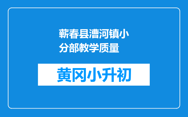 蕲春县漕河镇小分部教学质量