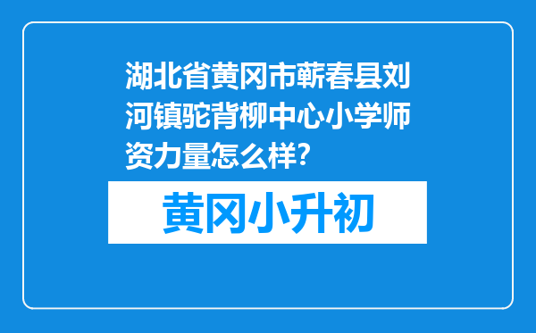 湖北省黄冈市蕲春县刘河镇驼背柳中心小学师资力量怎么样？