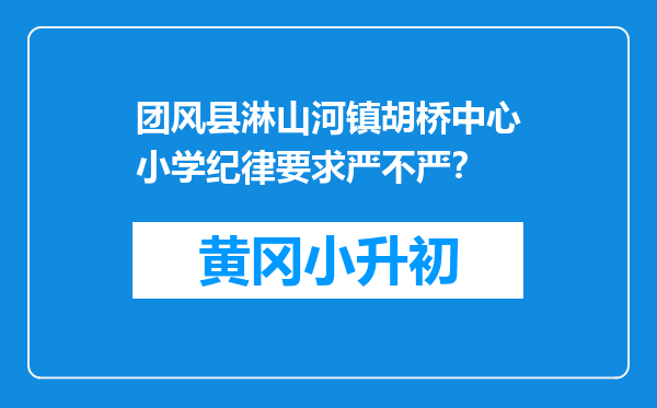 团风县淋山河镇胡桥中心小学纪律要求严不严？