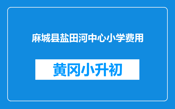 麻城县盐田河中心小学费用