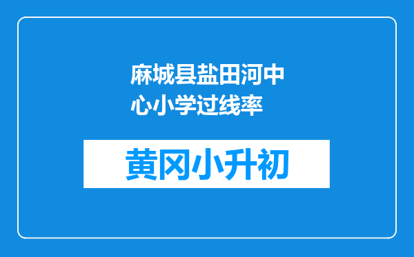 麻城县盐田河中心小学过线率