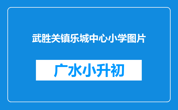 武胜关镇乐城中心小学图片