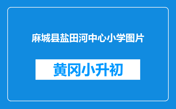 麻城县盐田河中心小学图片