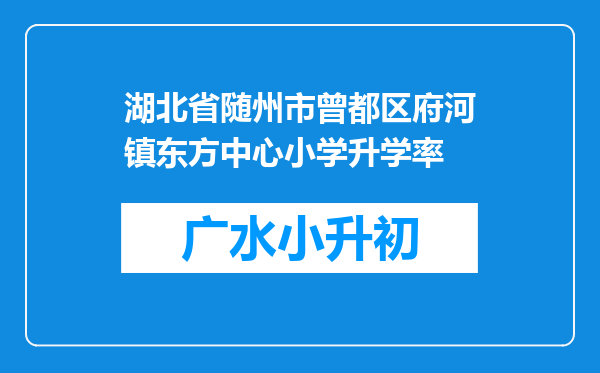 湖北省随州市曾都区府河镇东方中心小学升学率
