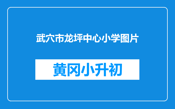 武穴市龙坪中心小学图片