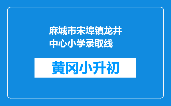 麻城市宋埠镇龙井中心小学录取线