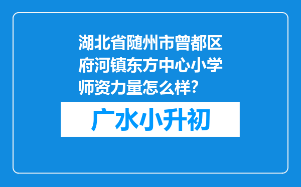 湖北省随州市曾都区府河镇东方中心小学师资力量怎么样？