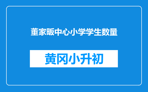 董家畈中心小学学生数量