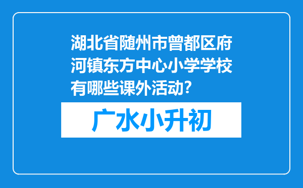 湖北省随州市曾都区府河镇东方中心小学学校有哪些课外活动？