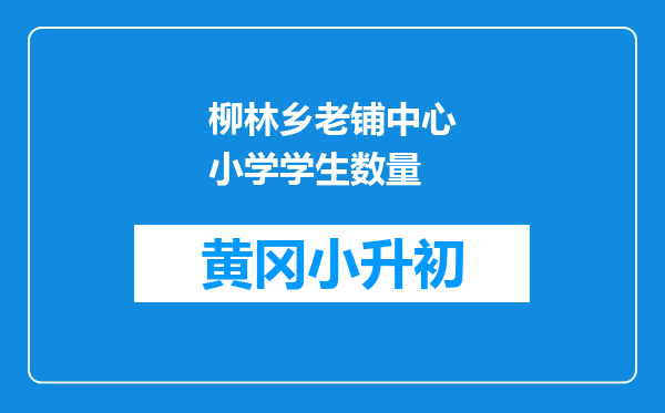 柳林乡老铺中心小学学生数量