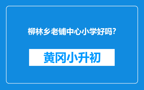 柳林乡老铺中心小学好吗？