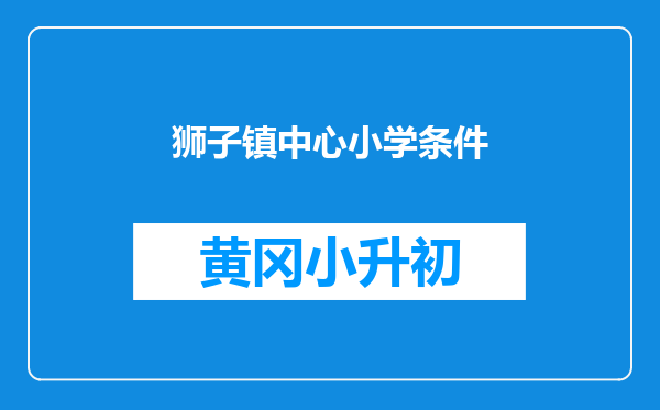 狮子镇中心小学条件