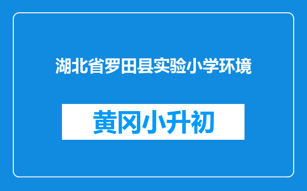 湖北省罗田县实验小学环境