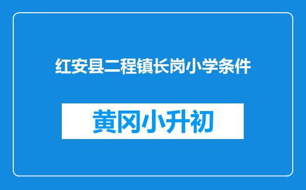 红安县二程镇长岗小学条件