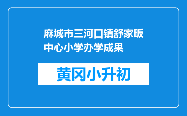 麻城市三河口镇舒家畈中心小学办学成果