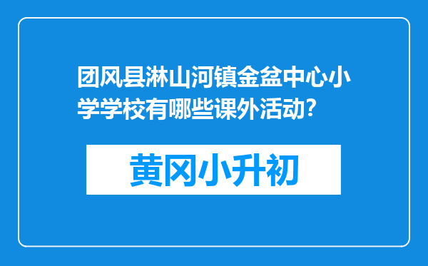 团风县淋山河镇金盆中心小学学校有哪些课外活动？