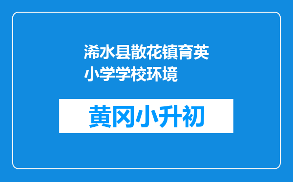 浠水县散花镇育英小学学校环境