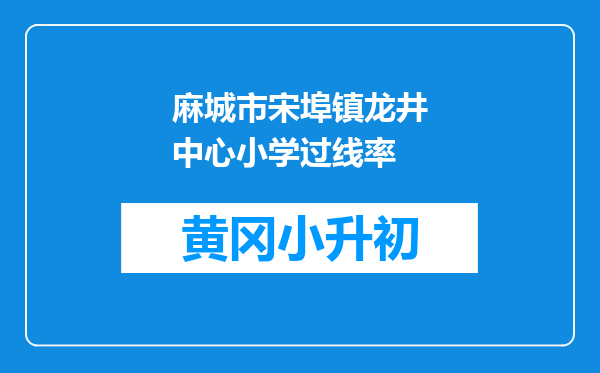 麻城市宋埠镇龙井中心小学过线率