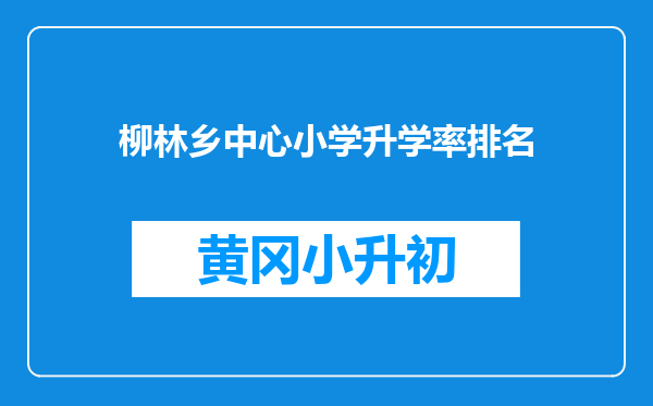 柳林乡中心小学升学率排名