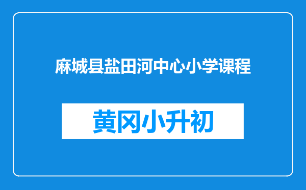麻城县盐田河中心小学课程