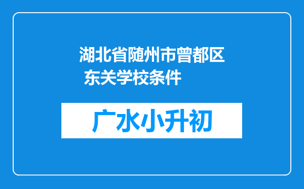 湖北省随州市曾都区 东关学校条件