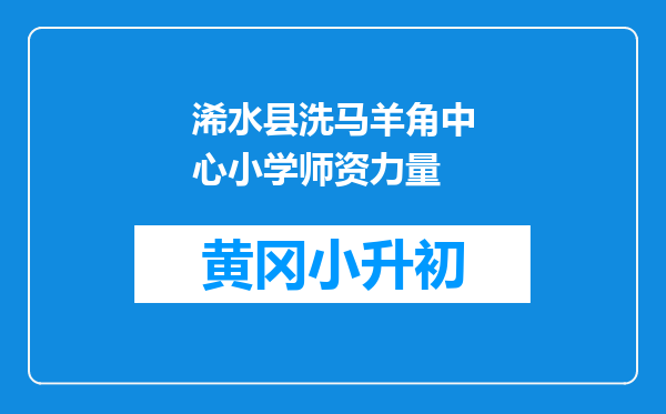 浠水县洗马羊角中心小学师资力量