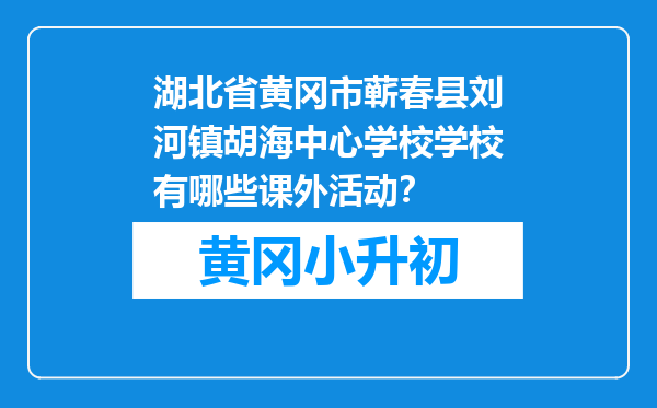 湖北省黄冈市蕲春县刘河镇胡海中心学校学校有哪些课外活动？