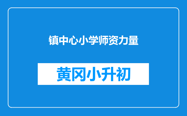 镇中心小学师资力量