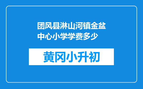 团风县淋山河镇金盆中心小学学费多少