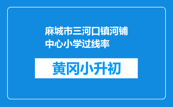 麻城市三河口镇河铺中心小学过线率