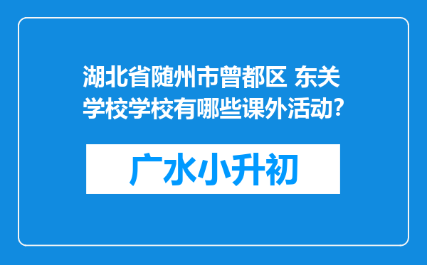 湖北省随州市曾都区 东关学校学校有哪些课外活动？