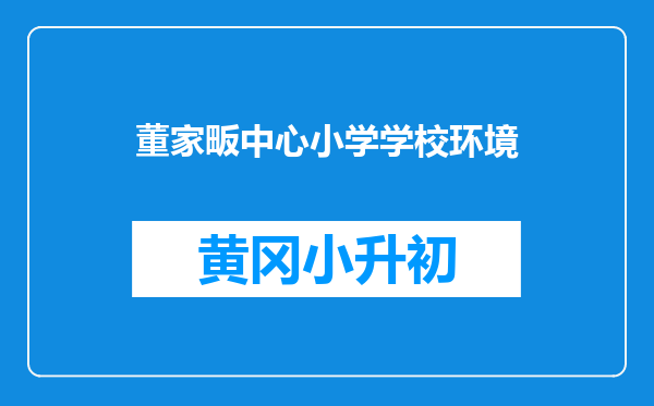 董家畈中心小学学校环境